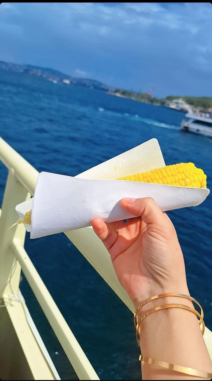 Mısırın hangi halini seviyorsunuz?