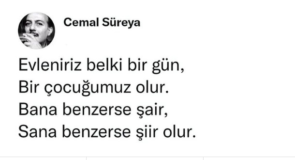 100 tane kıza şu görseli atsam kaç tanesi düşebilir 🤔?
