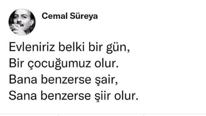 100 tane kıza şu görseli atsam kaç tanesi düşebilir 🤔?