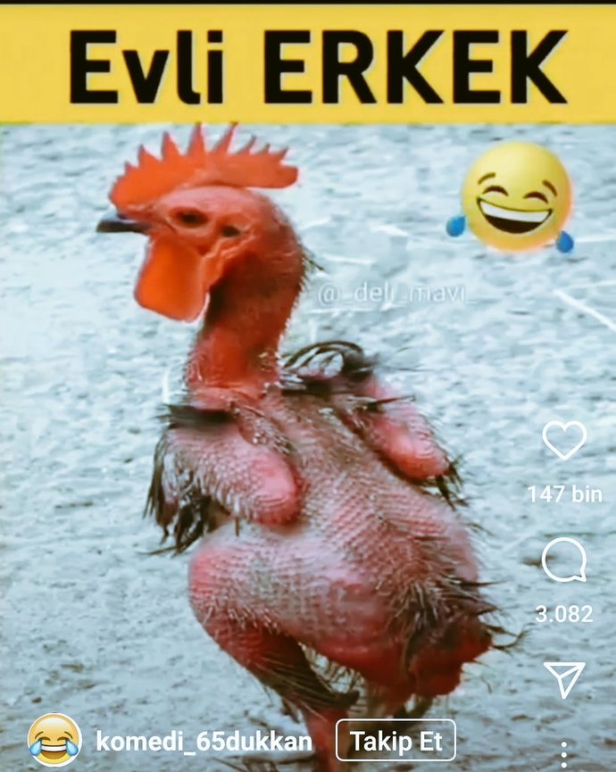 Bir araştırmada, evli erkeklerin bekar erkeklere göre daha sağlıklı yaşlandığı tespit edildi. Yani erkekler sağlıklı olmak için evlenmeli mi?