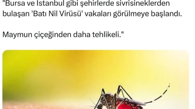 Sizin sivrisineklerle aranız nasıl?