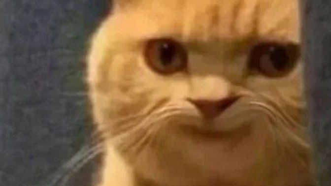 Erkekler neden artık erkeksi değil askolar🥺?