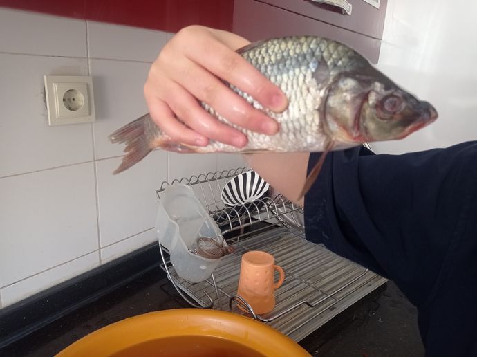 Sizce de bu balık her an canlanacak gibi durmuyor mu?
