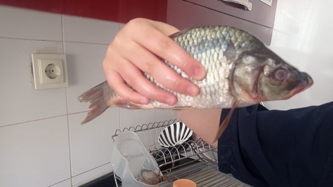 Sizce de bu balık her an canlanacak gibi durmuyor mu?