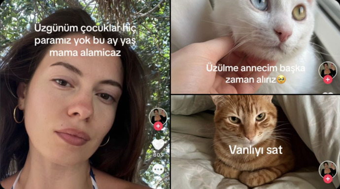 Mama parası yetmediğinde patili bebeklerimize bu ay mama yok, diyet yapıyoruz diyerek kurtulur muyuz?