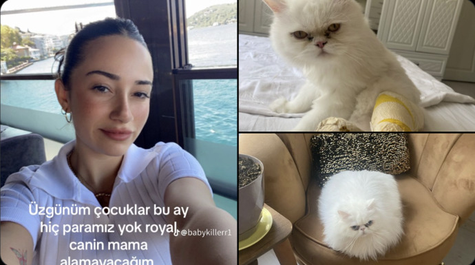 Mama parası yetmediğinde patili bebeklerimize bu ay mama yok, diyet yapıyoruz diyerek kurtulur muyuz?