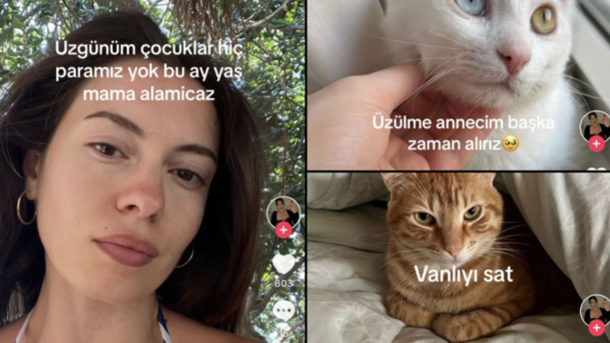 Mama parası yetmediğinde patili bebeklerimize bu ay mama yok, diyet yapıyoruz diyerek kurtulur muyuz?