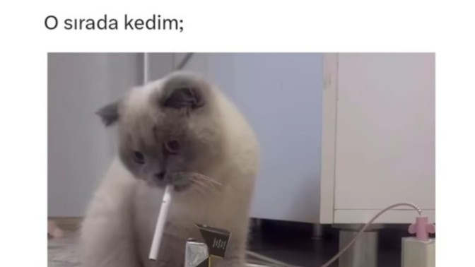 Bugün kimlerin psikolojisi neden bozuk?