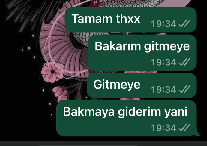Türkçeniz ne seviyede?