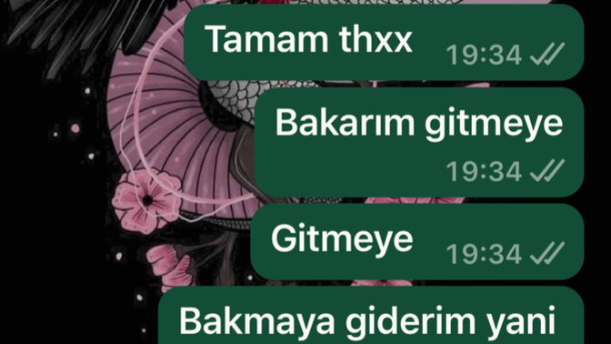 Türkçeniz ne seviyede?