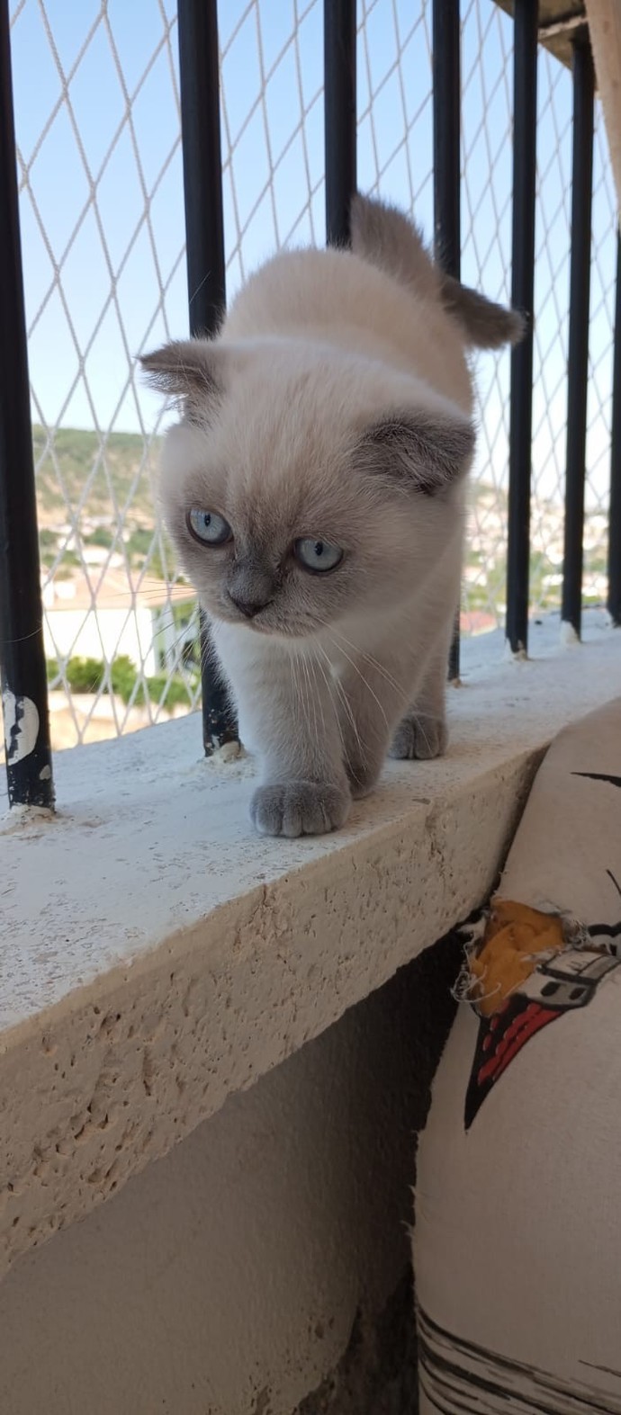 Sizi bu hayatta en çok ne ayakta tutuyor?