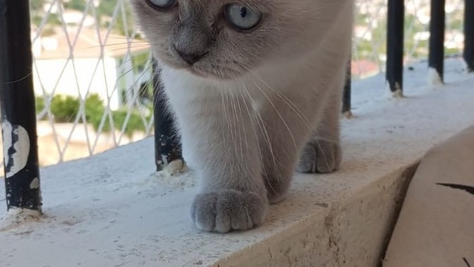 Sizi bu hayatta en çok ne ayakta tutuyor?
