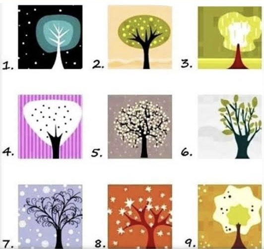 KİŞİLİK TESTİ! Size en yakın gelen ağaç hangisi?