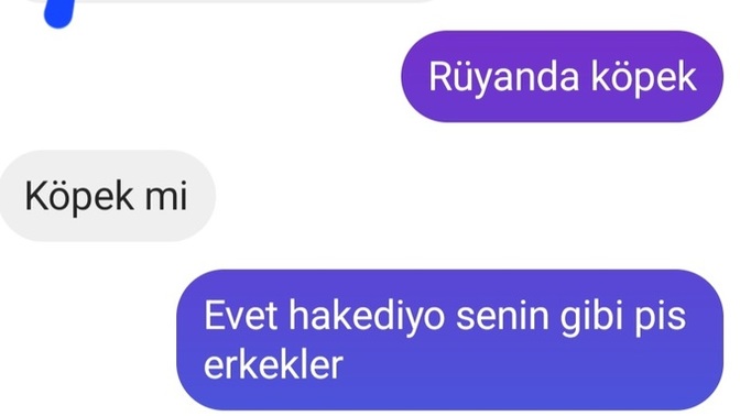 Karşılaşınca rahatsız edip senden çok hoşlandım sürekli saf seviyorum diyip böyle mesaj atan erkek normal mi ne bu?