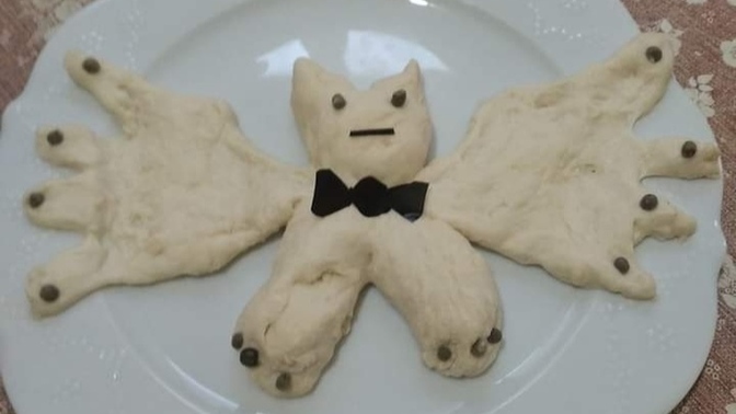 Size pideden yarasa yaptım yarasa da yiyeceksiniz yaramasa da anladınız mı?