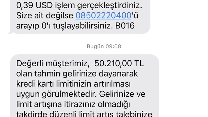 Tahmini geliriniz bu kadar diyor ama böyle bir gelirim yok?