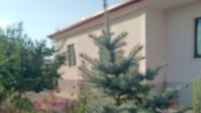Yağmur sonrası bahçem nasıl görünüyor?