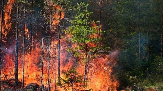 En çok korktuğunuz doğal afet hangisi?