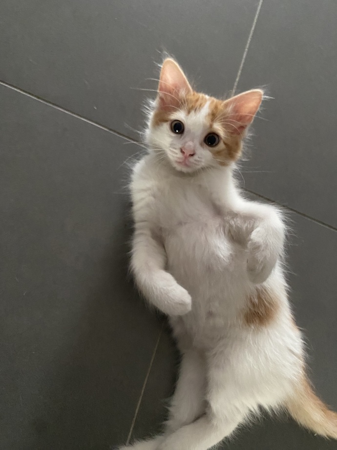 En son çektiğiniz fotoğraf karesi hangisi?