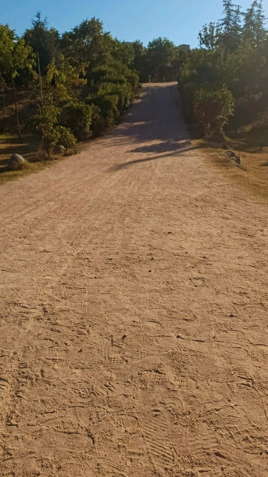 En son çektiğiniz fotoğraf karesi hangisi?
