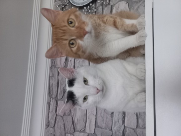 En son çektiğiniz fotoğraf karesi hangisi?