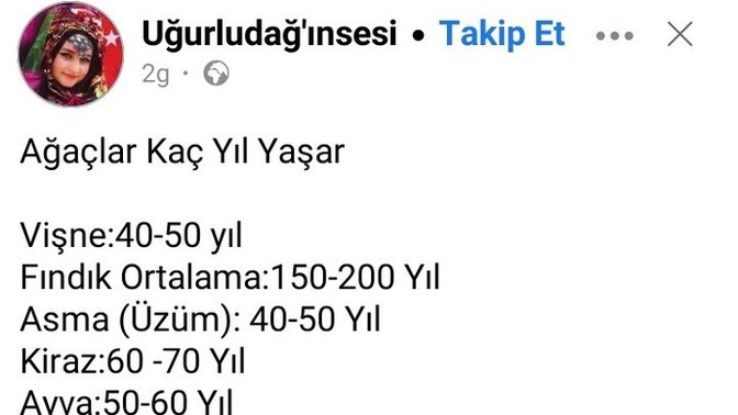 Hiç dikili ağacın var mı?