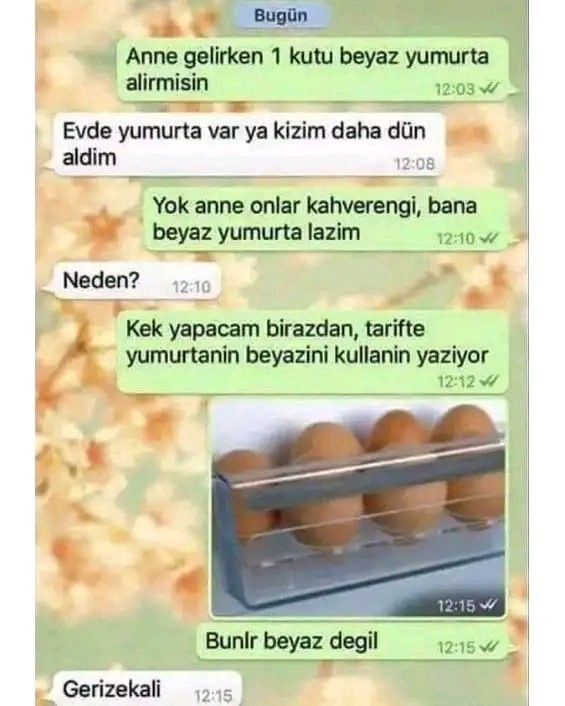 Zeki bir kız misin?