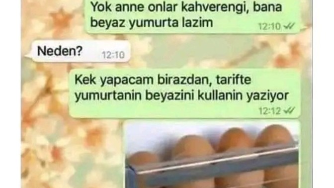 Zeki bir kız misin?