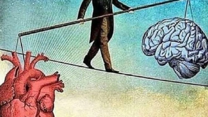 Kalp mi? Mantık mı?