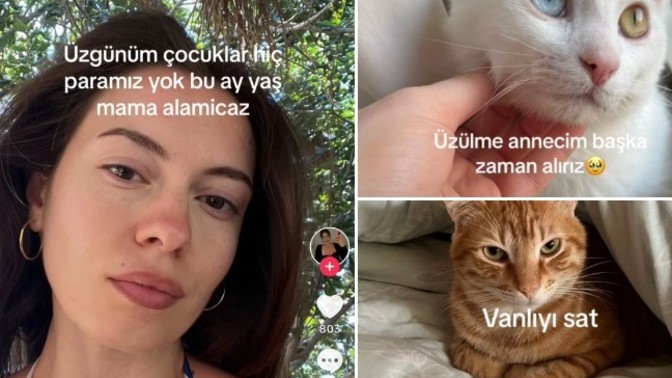 Kedinize "üzgünüm hiç paramız yok bu ay yaş mama alamayacağınız" deseniz, size nasıl tepki verir?