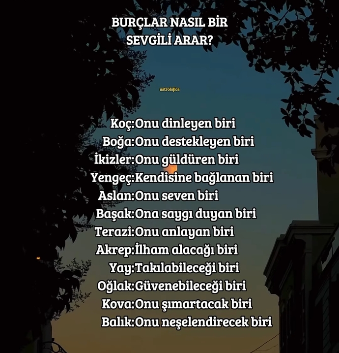 Senin burcun nasıl bir sevgi arıyor?