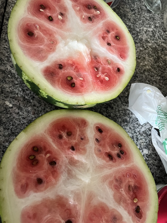 Karpuzun iyisinden anlar mısınız?