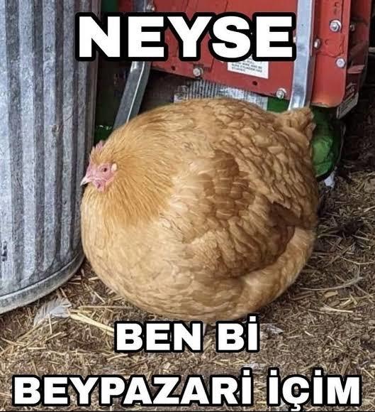 Dünyaya sığamadığınız oluyor mu?