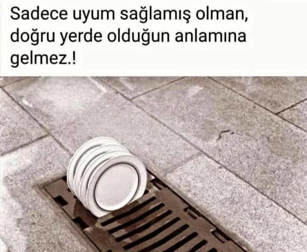 Ait olduğun mu yoksa uyum sağladığın yerde misin?