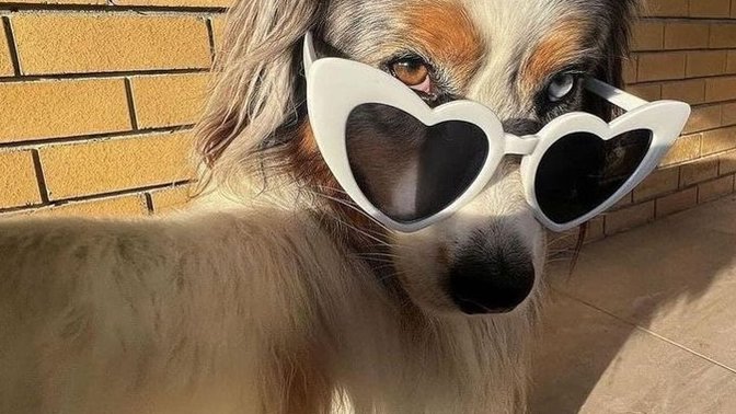Fotoğraf çekerken güzel poz verebiliyor musunuz?