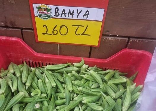 Cinsel organı küçük biriyle evlenmiş olsaydınız ne yapardınız?