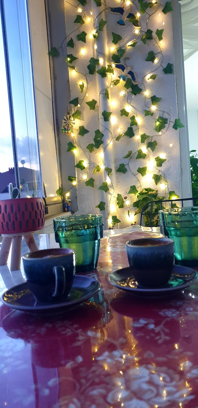 Evinizde balkon var mı?