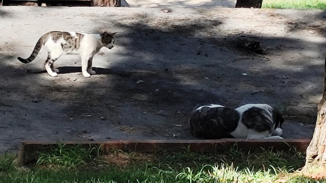 Bu kadar uyumlu olduğunuz, ama tamamen zıt kişiliklere sahip olduğunuz insanlar oldu mu hayatınızda?