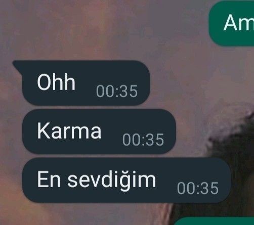 Sevdiğiniz şeyler ne 😃?