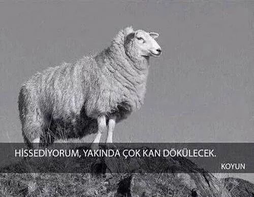 İlk gece nasıl bir durum neler yaşanıyo?