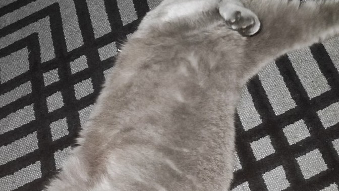 İyi ki hayatımda dediğin bir şey var mı?