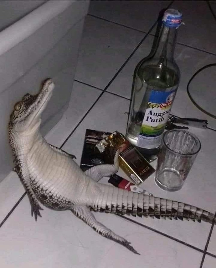 Sanki içimde ölcekmiş hissi var?