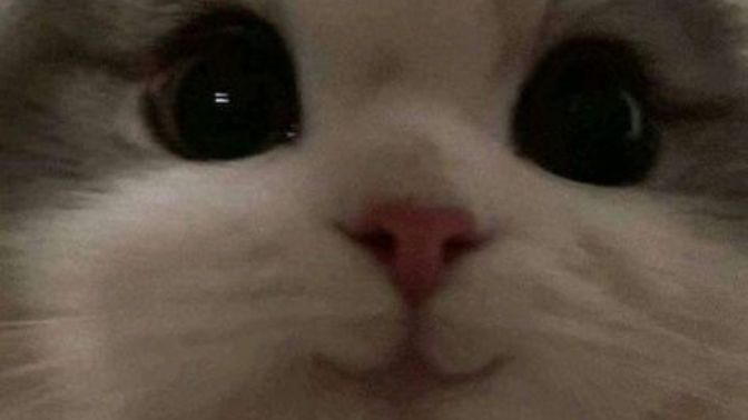 Sevgili KS üyeleri, en son kullandığınız emojiyi tahmin edeyim mi?