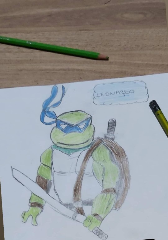 Sevdiğiniz Ninja Kaplumbağa karakteri hangisiydi?
