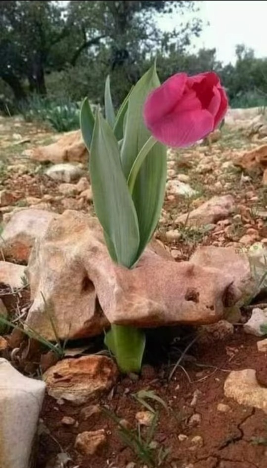 Sizi yansıtan bir fotoğraf bırakın desem bu ne olurdu?
