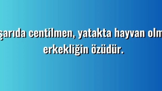 Dışarıda centilmen yatakta hayvan olmak erkekliğin özü müdür?