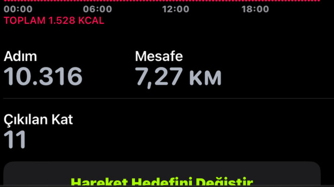 Günde kaç adım atıyorsunuz?