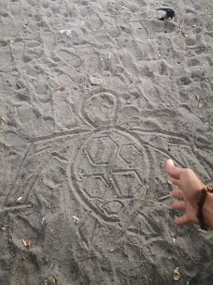 Caretta caretta yı nasıl çizmişim?