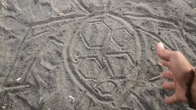 Caretta caretta yı nasıl çizmişim?