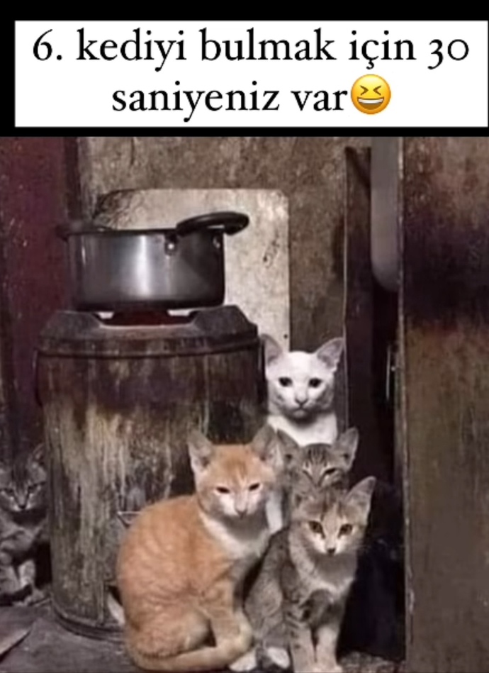 Ne kadar dikkatli birisin? kaç saniyede kedileri buldun?